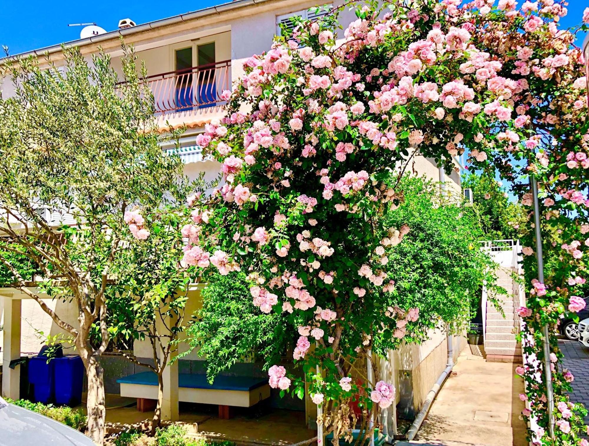 Apartments Cala Biograd Na Moru Phòng bức ảnh